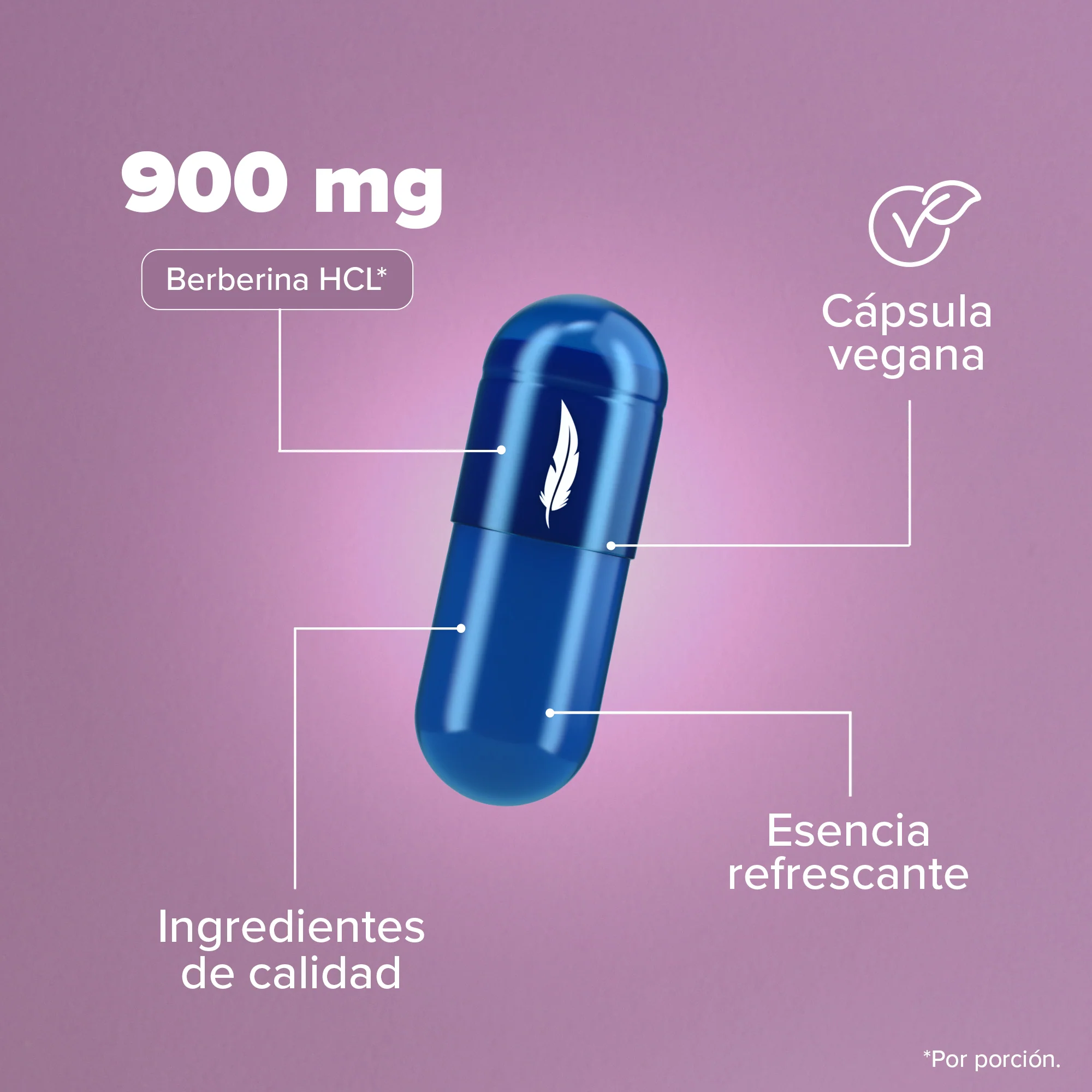 Berberina HCL 900mg - 180 Cápsulas - Image 6
