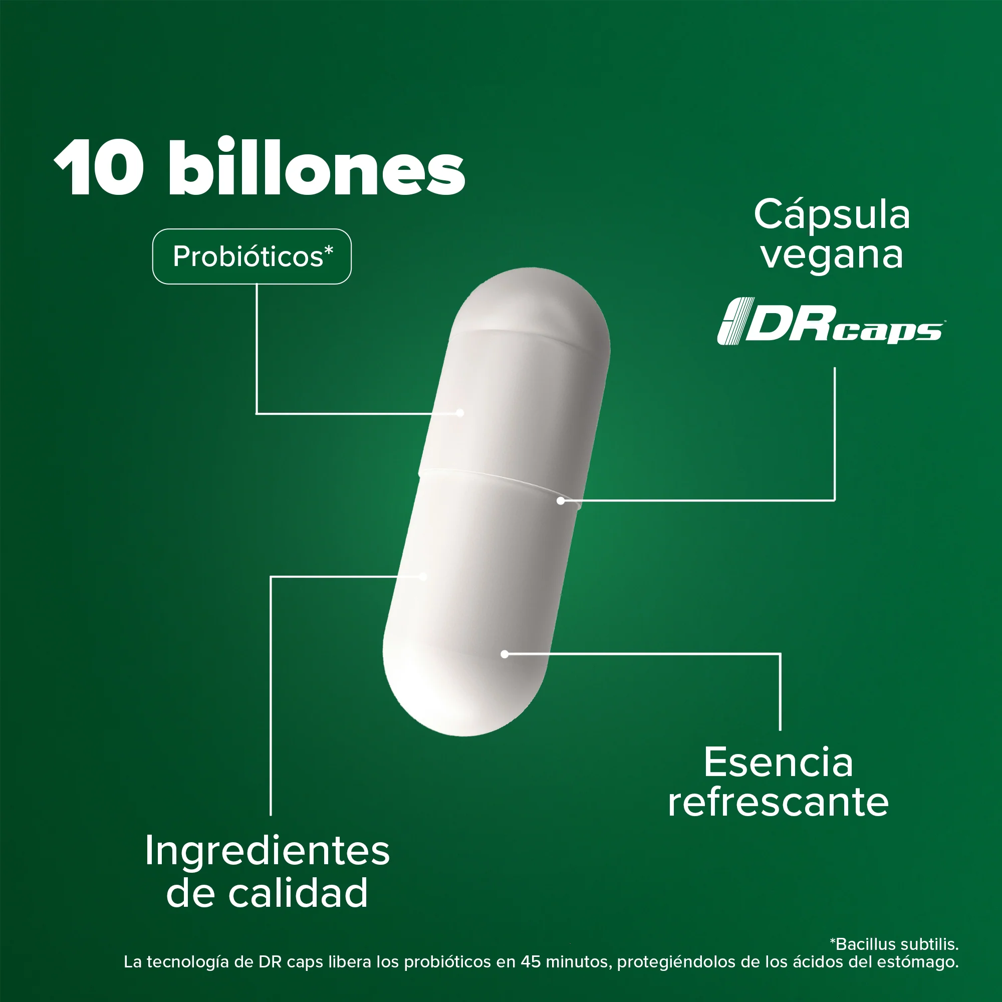 Daily Spore Probiotic - Probióticos con 10 Billones de UFC - 140 Cápsulas - Image 6
