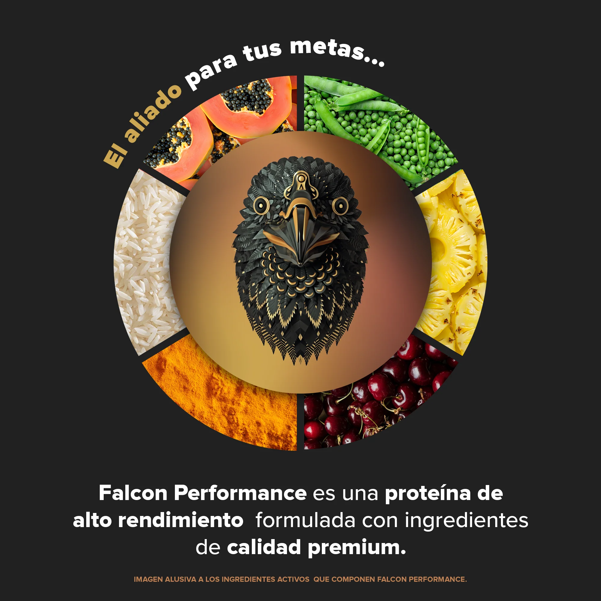 Falcon Performance Proteína en Polvo con Creatina & BCAAs - Choco Bronze 1.14 kg - Image 4