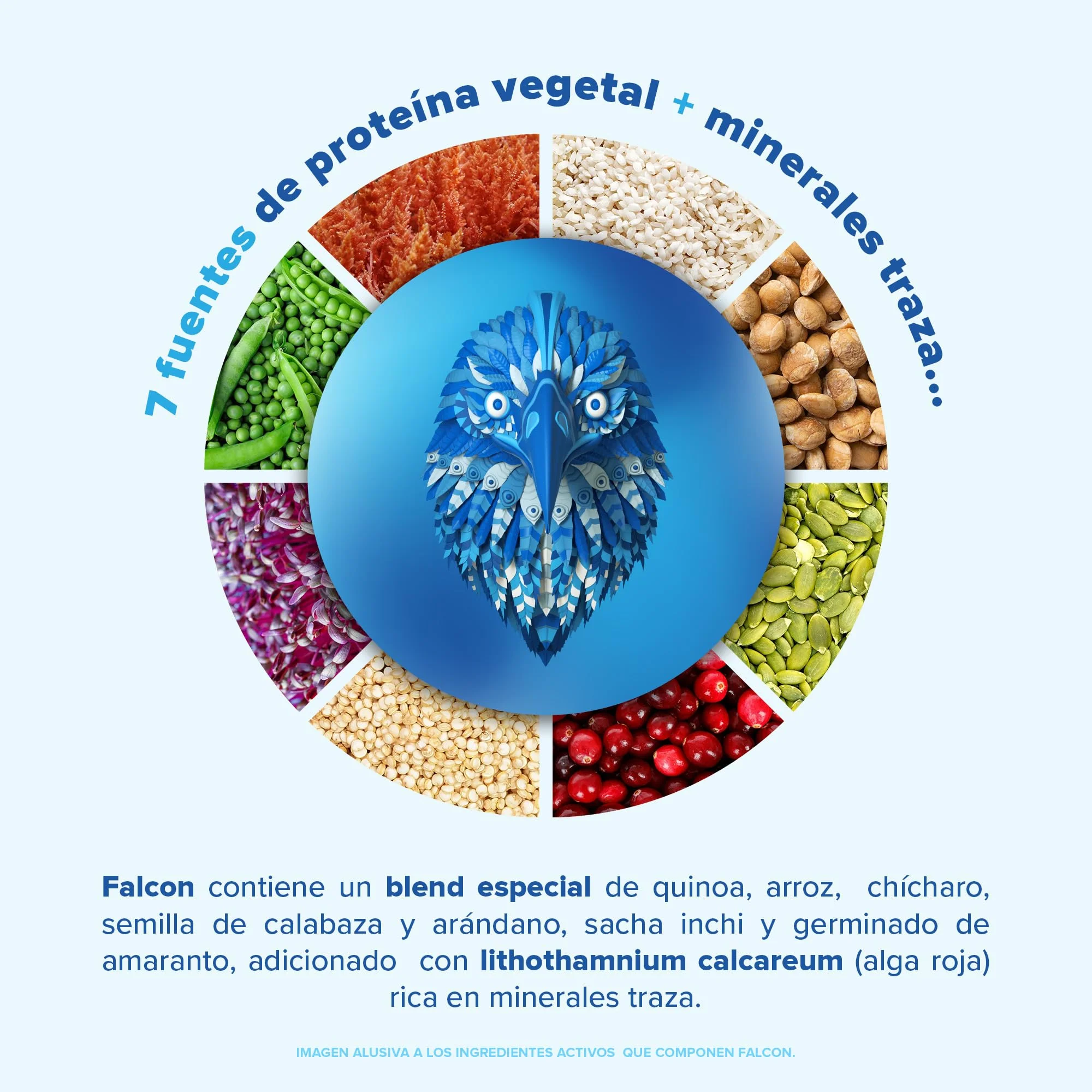 Falcon Protein: Proteína Vegana Orgánica en Polvo - Natural 1.17 kg - Image 4