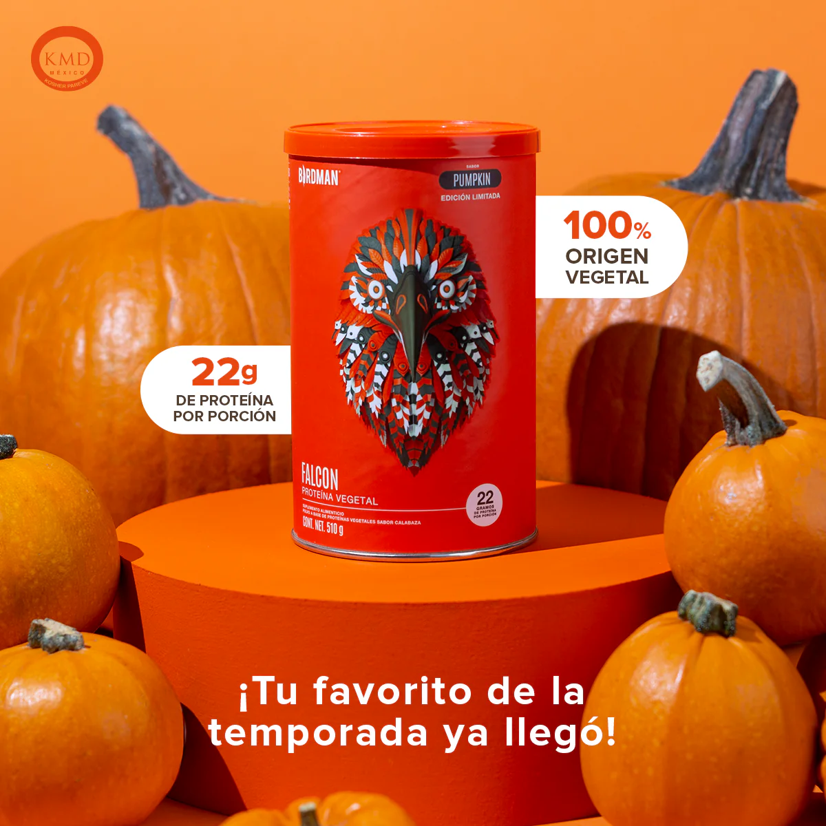 Falcon Protein Pumpkin 510 g EDICIÓN LIMITADA - 17 Servicios - Image 4
