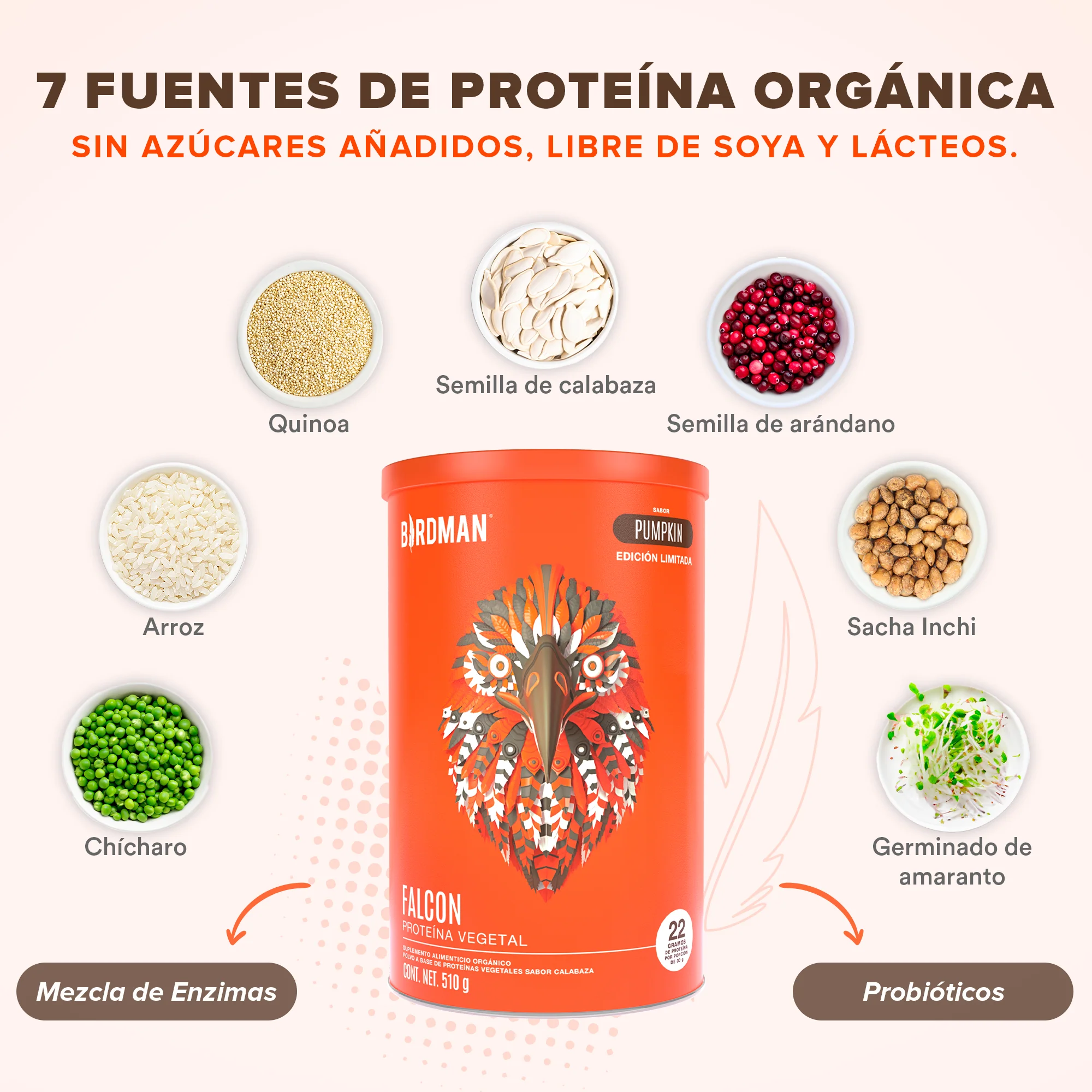 Falcon Protein Pumpkin 510 g EDICIÓN LIMITADA - 17 Servicios - Image 5