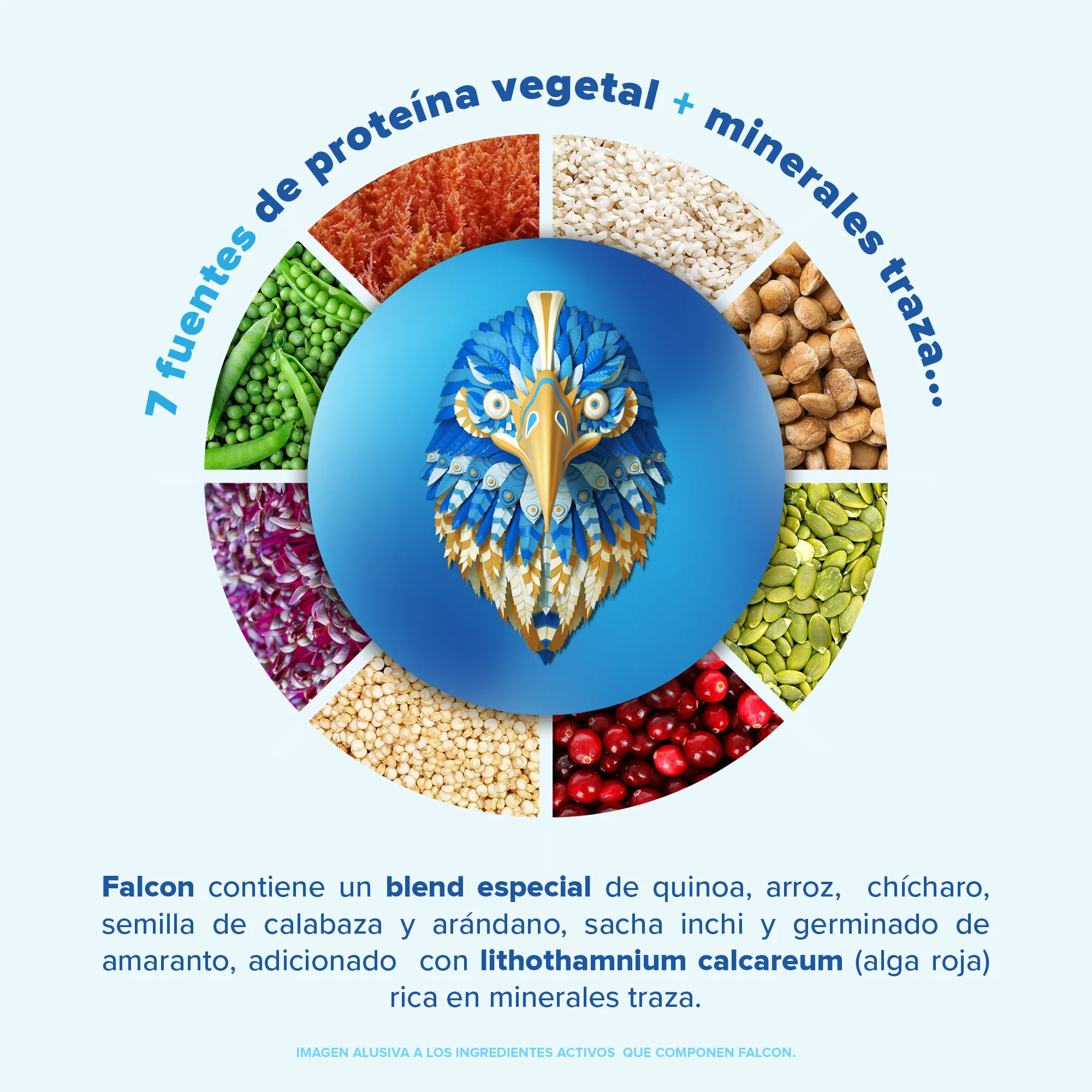 Falcon Protein: Proteína Vegana Orgánica en Polvo - Vainilla 510 g - Image 5