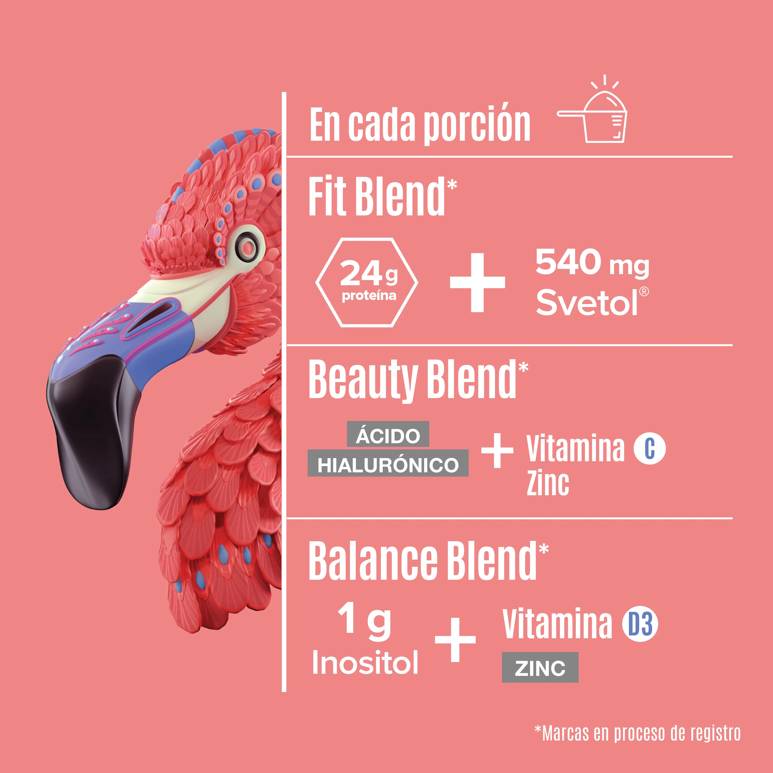 Fitmingo Protein Blueberry 1.02kg - 30 Servicios - Pack - Image 4