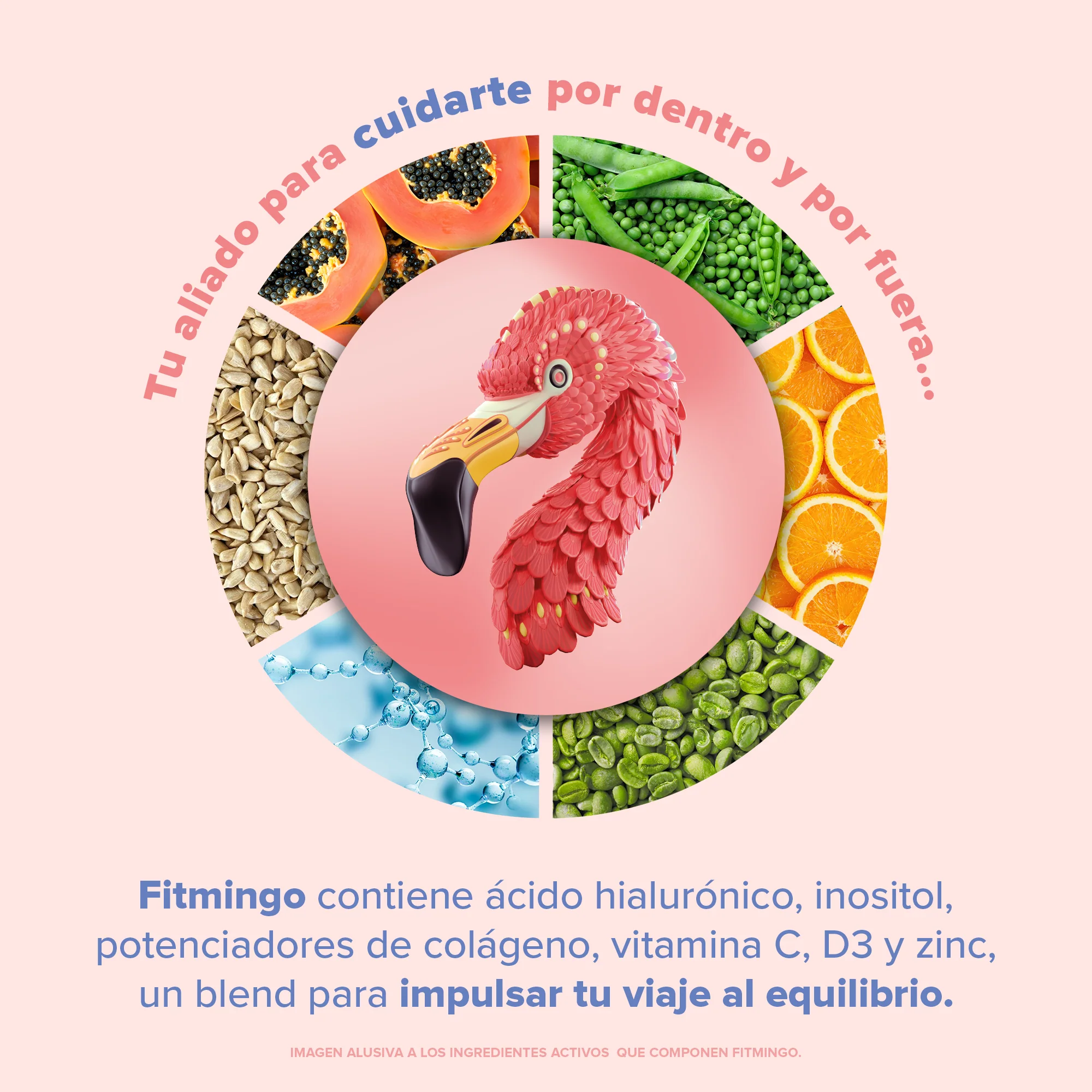 Fitmingo Protein Proteína en Polvo con Inositol & Vitaminas - Blueberry 510 g - Image 7