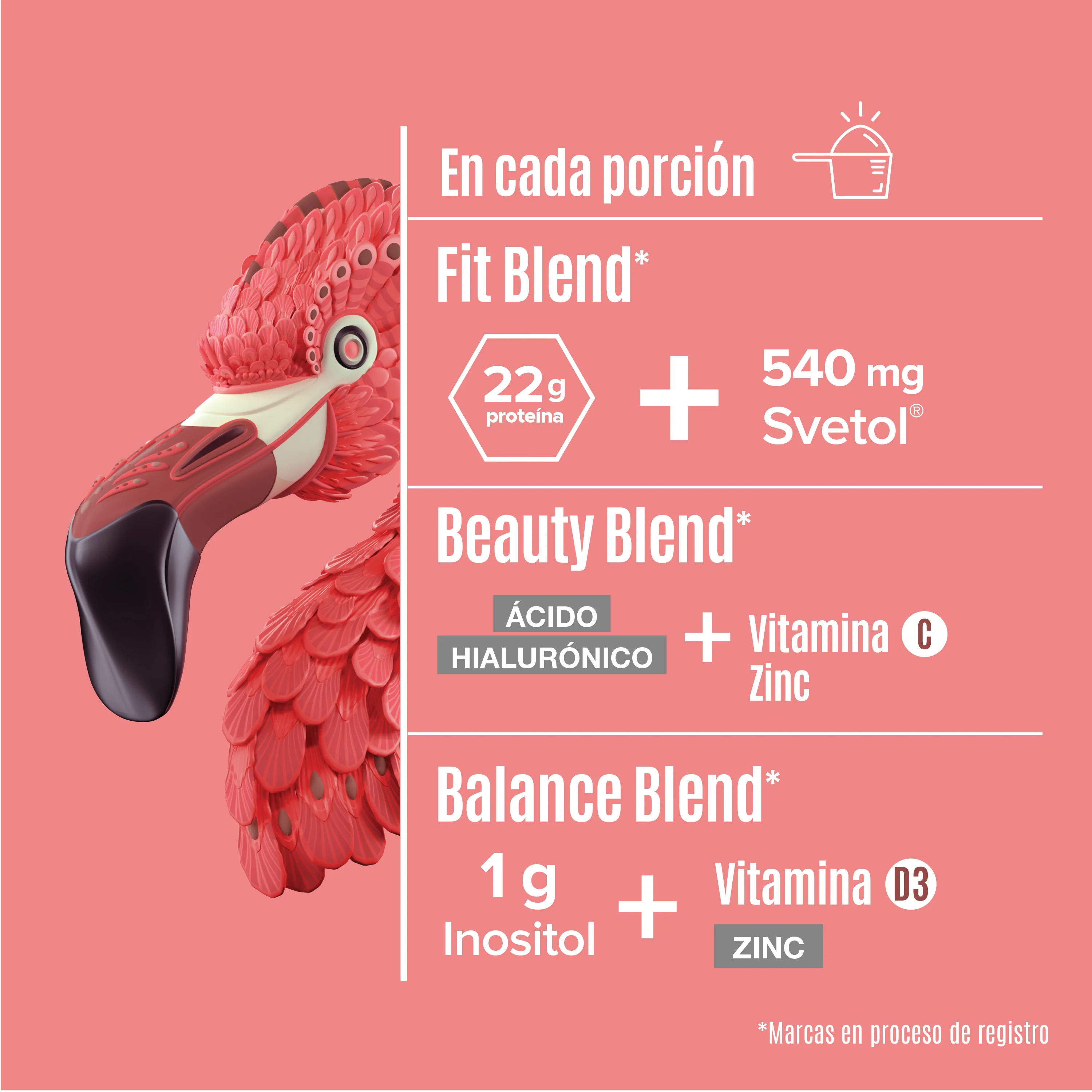 Fitmingo Protein Proteína en Polvo con Inositol & Vitaminas - Moka 1.7 kg - Image 5