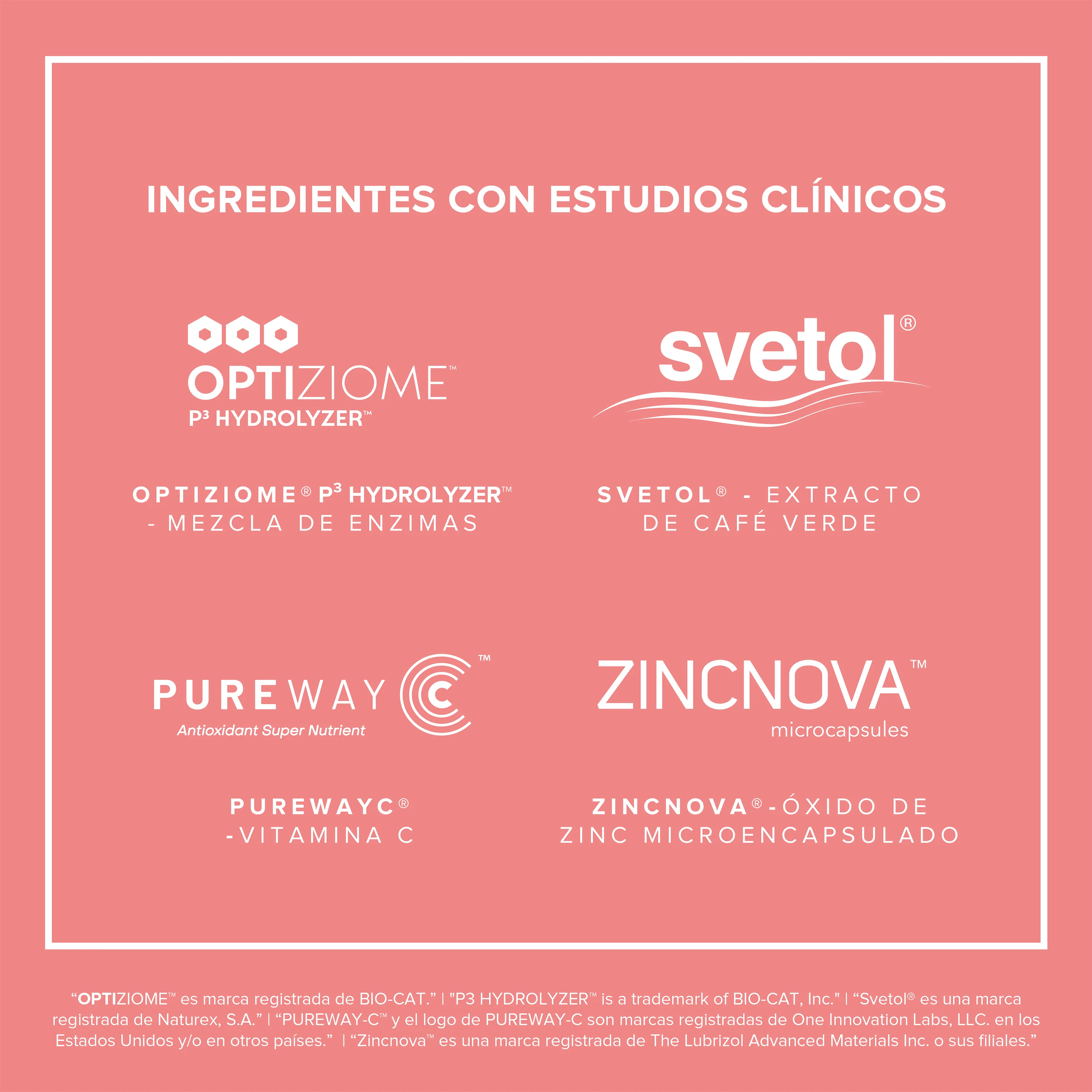 Fitmingo Protein Proteína en Polvo con Inositol & Vitaminas - Sampler 10 pack sobres - Image 5