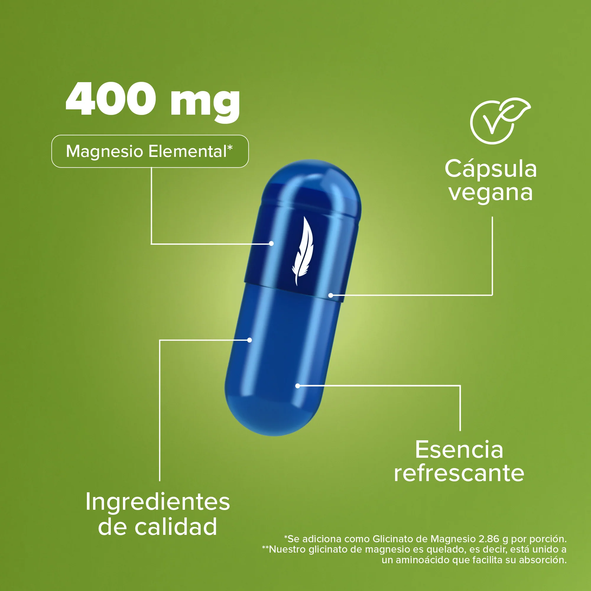 Glicinato de Magnesio 400mg - 120 Cápsulas - Image 5