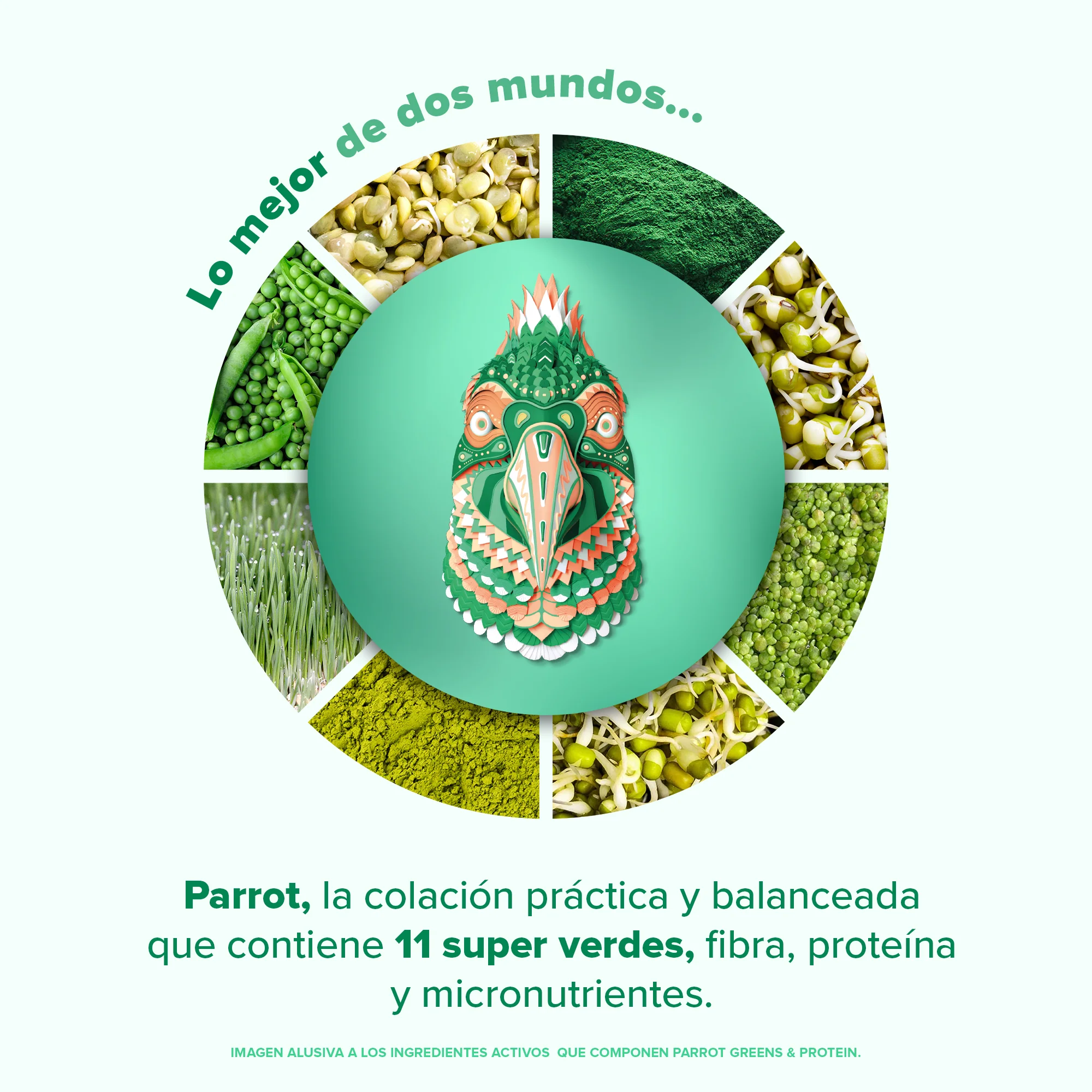 Parrot Greens & Protein Proteína en Polvo con Verdes & Vitaminas - Berry Vainilla 900 g - Image 5