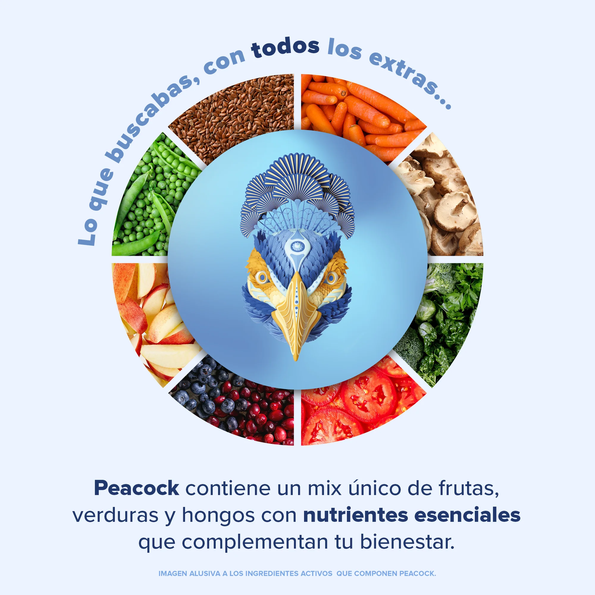 Peacock Plant Meal Proteína en Polvo con 11 Vitaminas & Omega 3 - Chocolate 10 Pack Sobres - Image 6