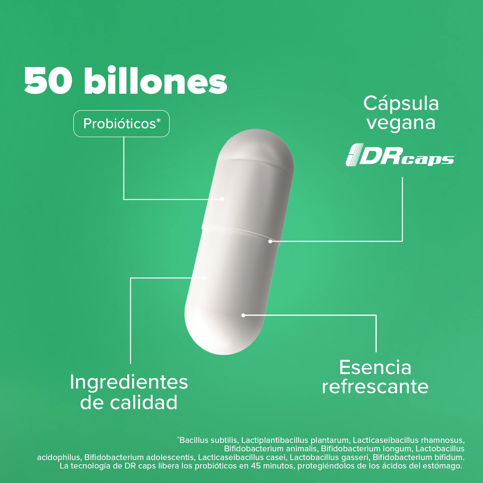 Premium All-In-One Probiotic - Probióticos con 50 Billones de UFC - 120 Cápsulas - Image 6